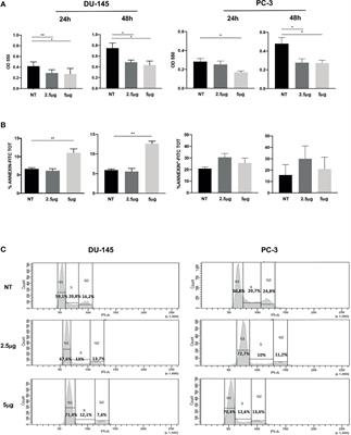 Immunogenic Cell Death and Immunomodulatory Effects of Cabozantinib